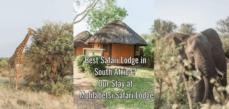 Best Safari Lodge in South Africa? Our Stay at Mohlabetsi Safari Lodge